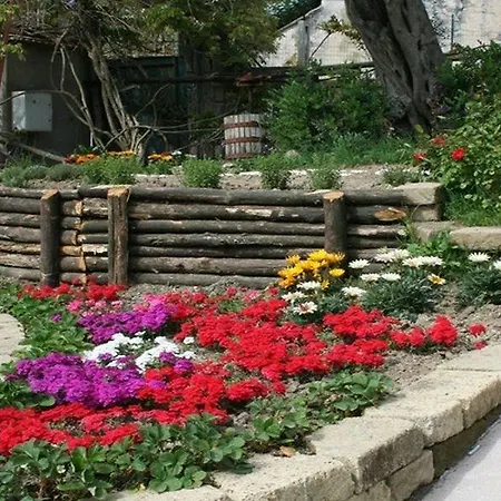 Alojamento de Turismo Rural Pane