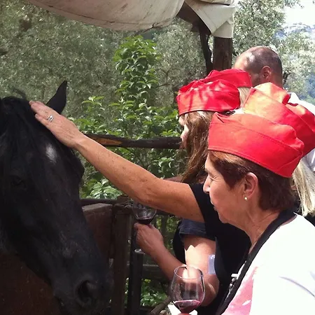 Farm stay Pane Sorrento